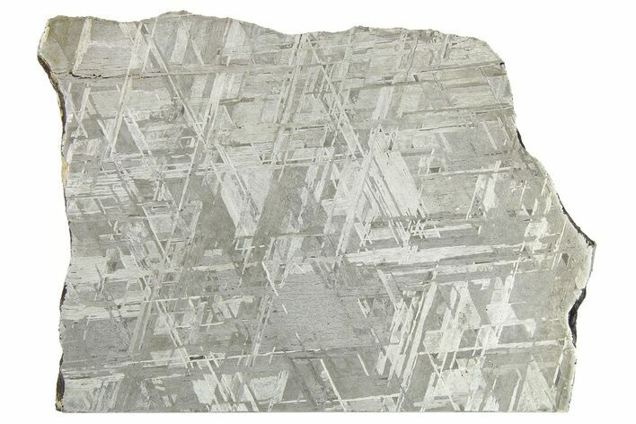 Etched Gibeon Iron Meteorite ( g) Slice - Namibia #266420